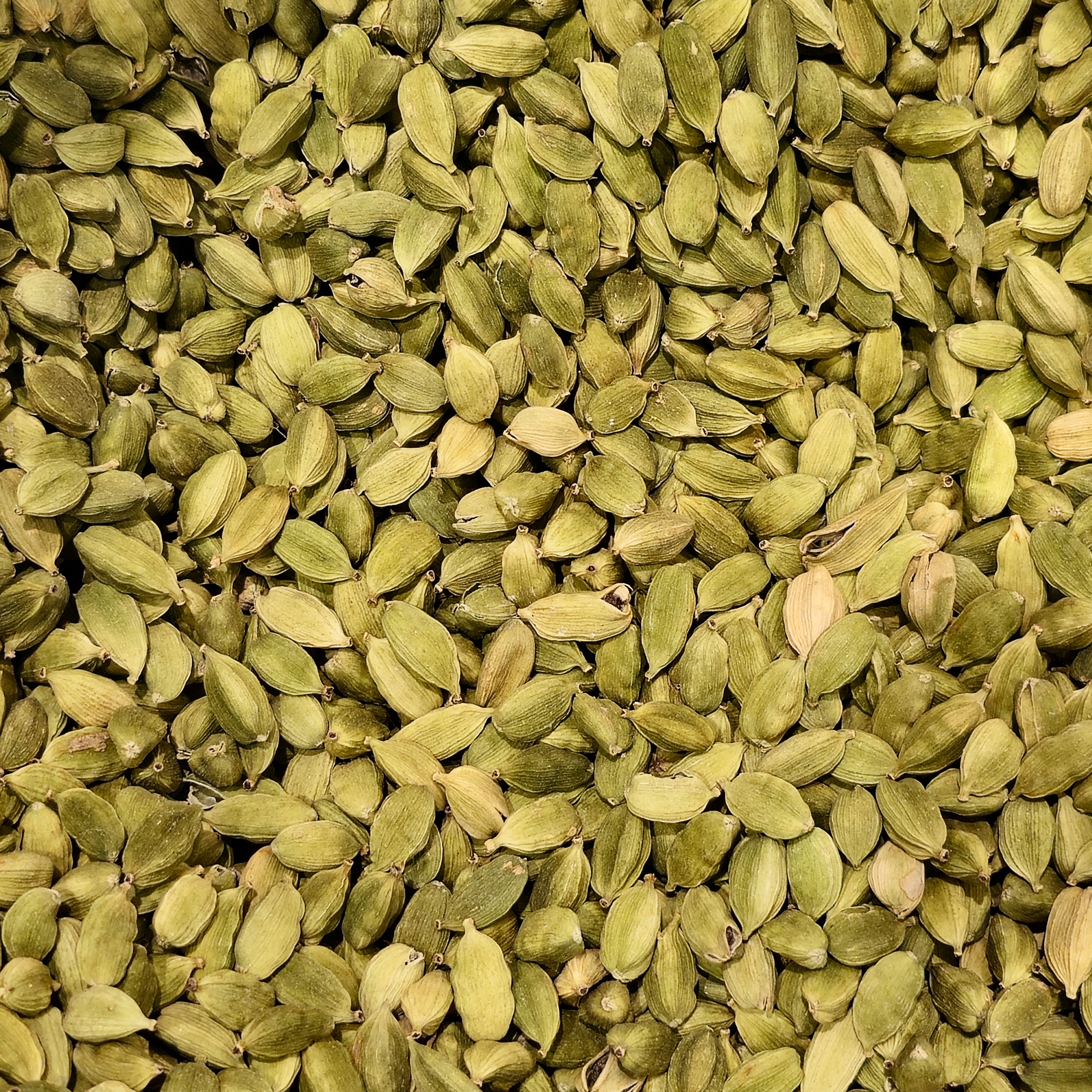 Fresh green cardamom pods are displayed in bulk at a hypermarket in Kozhikode. The neat pile of aromatic pods shows their natural green tones and the rich spice culture of Kerala. 