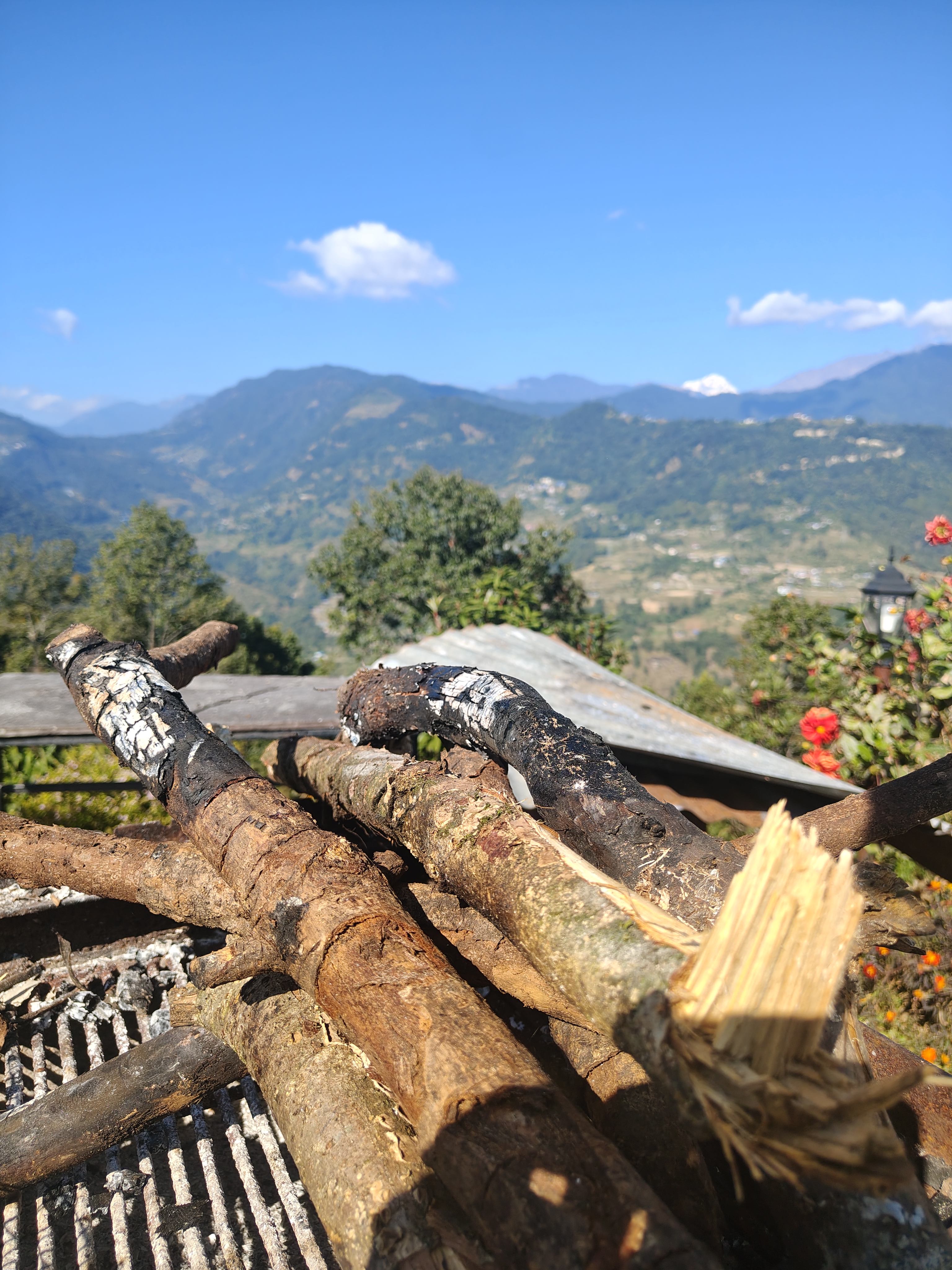 A close-up view of several pieces of firewood arranged on a grate, with a picturesque mountainous landscape in the background. 