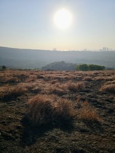 The bright sun shines over the dry grassland and hills near Kanheri Caves, with Mumbai’s skyline faintly visible in the distance. 