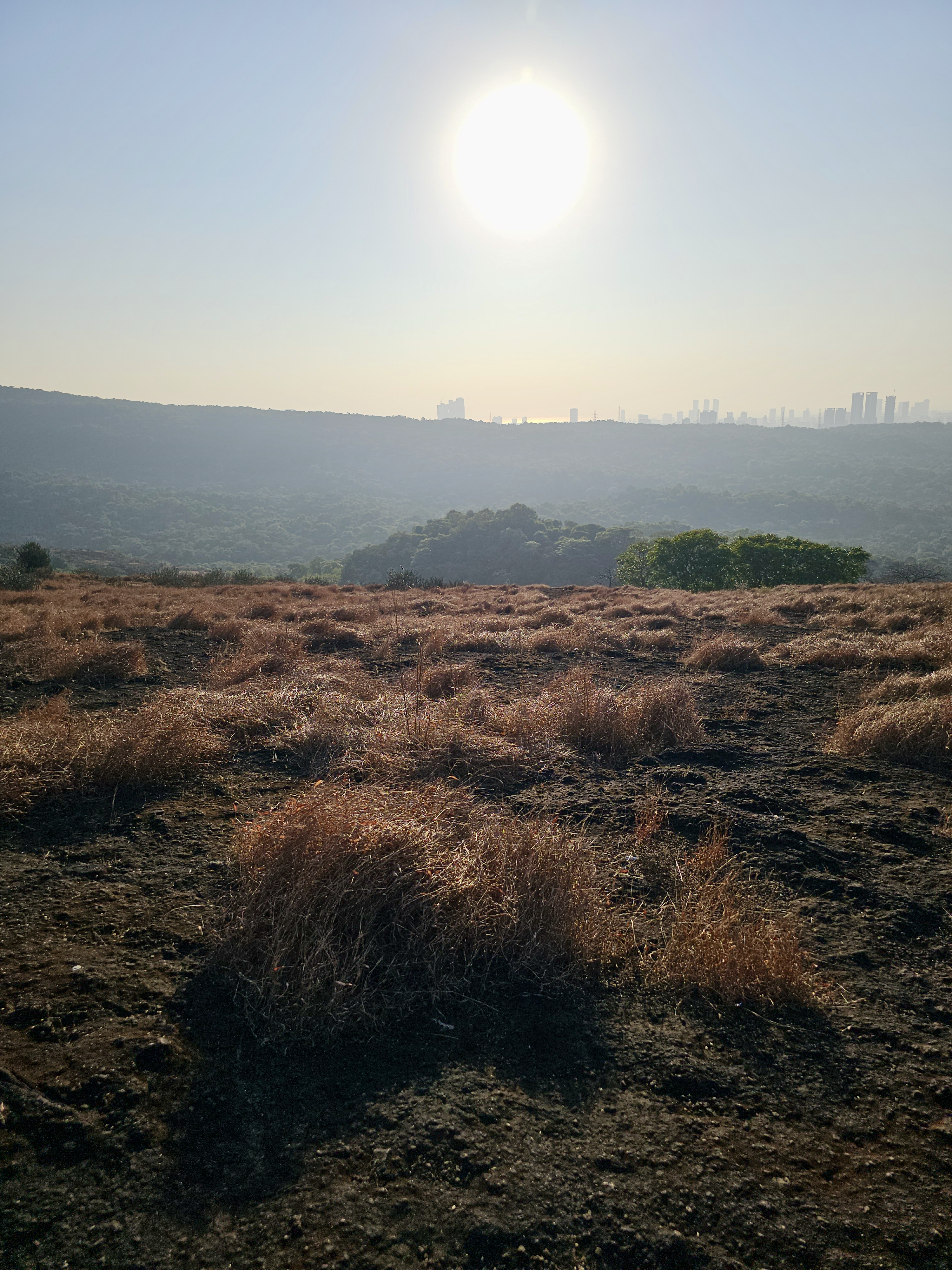 The bright sun shines over the dry grassland and hills near Kanheri Caves, with Mumbai’s skyline faintly visible in the distance. 
