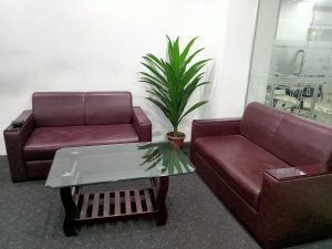 A cozy seating area featuring two maroon leather sofas positioned opposite each other, complemented by a glass coffee table in the center. A potted plant with long green leaves stands to one side, set against a plain white wall.