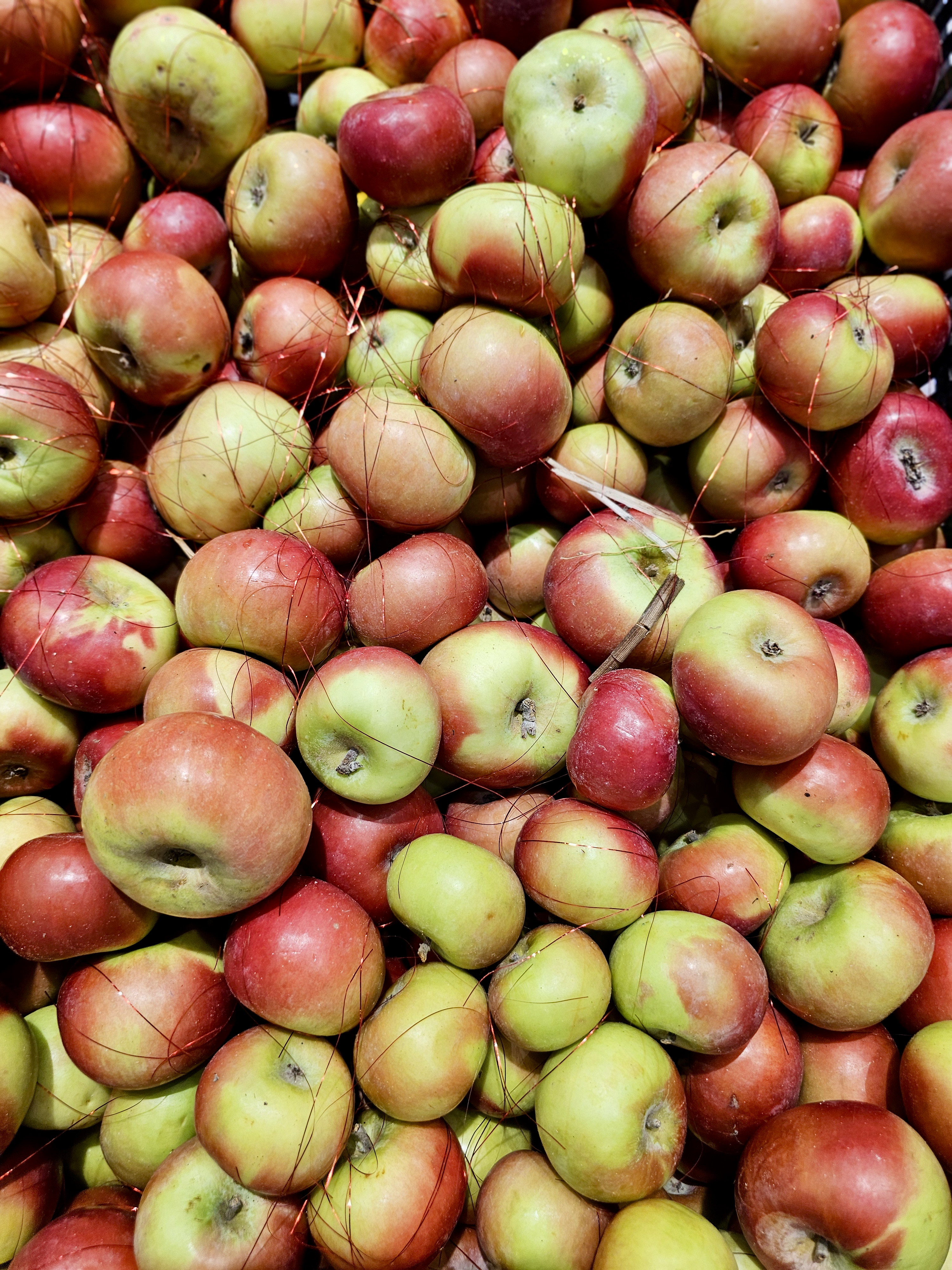 A close-up of fresh apples in shades of red and green, piled together at a hypermarket in Kozhikode. The colours and textures make the fruits look bright and natural. 