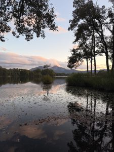 A serene landscape featuring a calm lake reflecting the sky and surrounding trees. In the background, rolling hills and a mountain are visible under a pastel-colored sunset sky. The foreground shows the water's surface covered with fallen leaves, and the silhouettes of trees frame the scene, adding depth to the tranquil atmosphere.