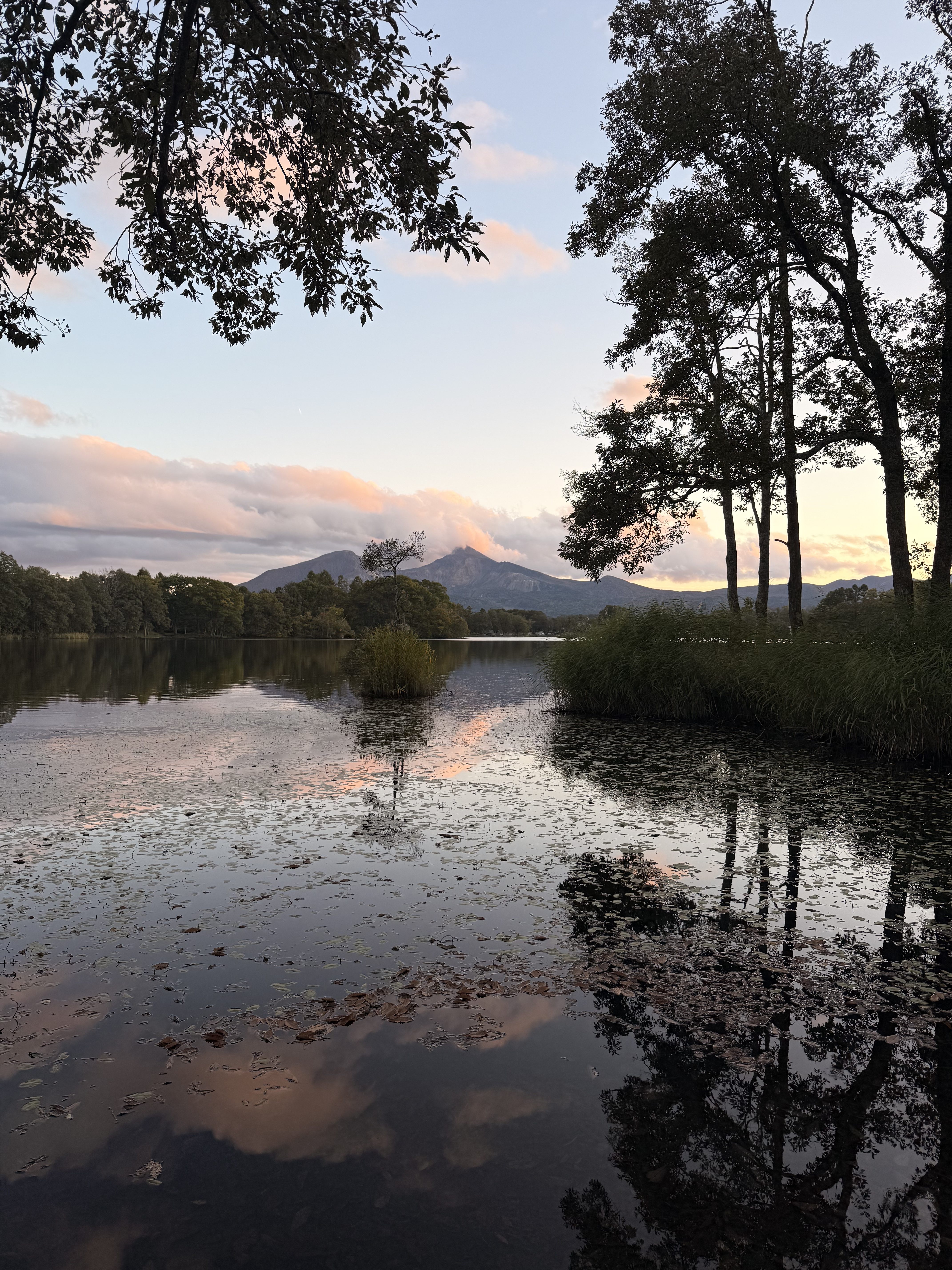 A serene landscape featuring a calm lake reflecting the sky and surrounding trees. In the background, rolling hills and a mountain are visible under a pastel-colored sunset sky. The foreground shows the water's surface covered with fallen leaves, and the silhouettes of trees frame the scene, adding depth to the tranquil atmosphere.
