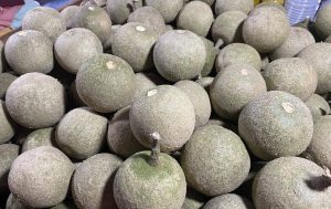 A close-up of a pile of round, greenish-brown fruits, resembling balls, covered in a fine layer of dust or fuzz