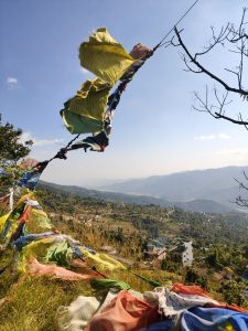 A view of a mountainous landscape featuring colorful prayer flags strung between branches, fluttering in the breeze. 