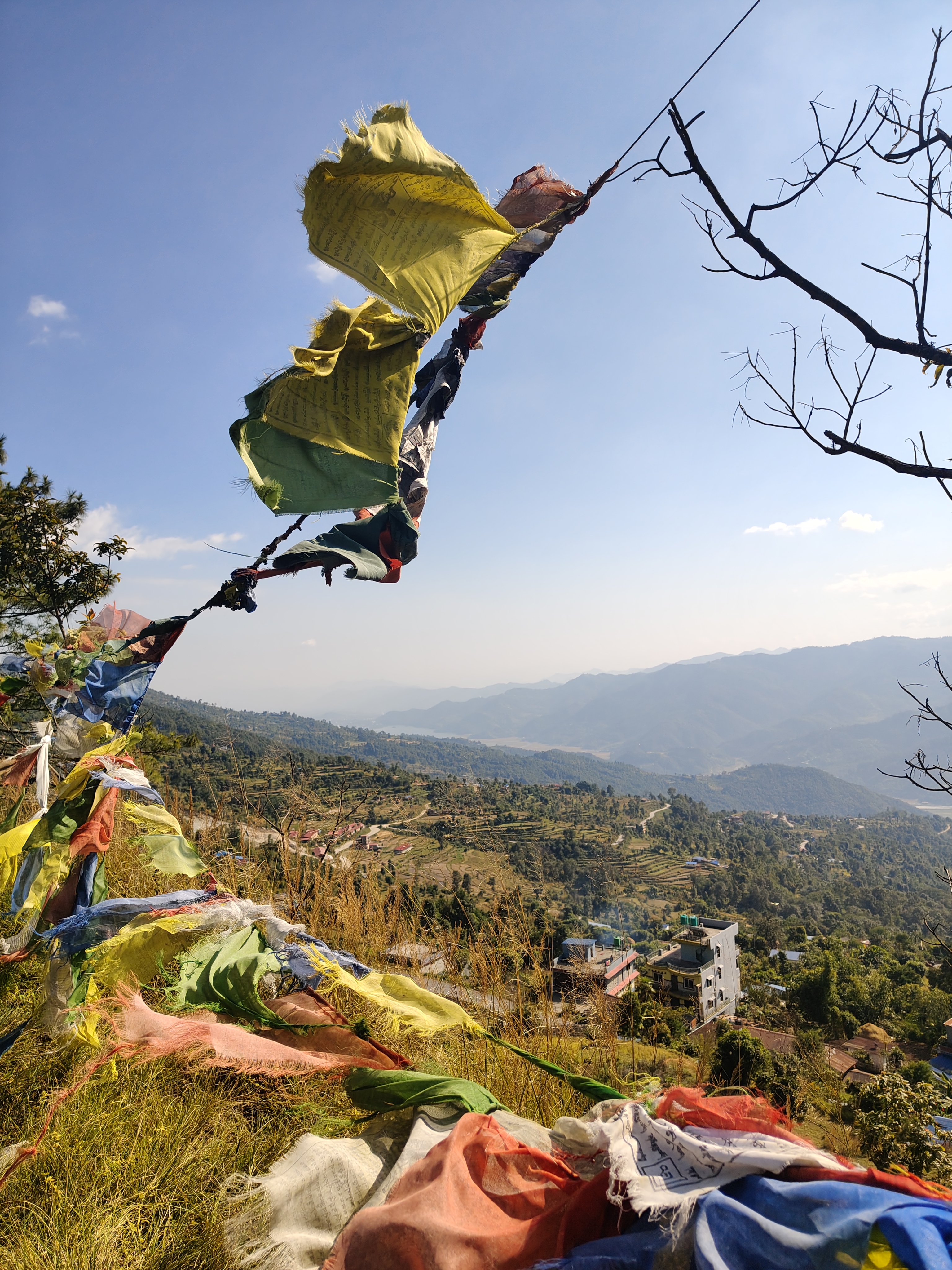 A view of a mountainous landscape featuring colorful prayer flags strung between branches, fluttering in the breeze. 
