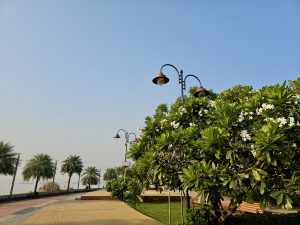 A peaceful walkway lined with palm trees, flowering plants, and street lamps along the shoreline, captured from Bandra West, Mumbai, Maharashtra. 