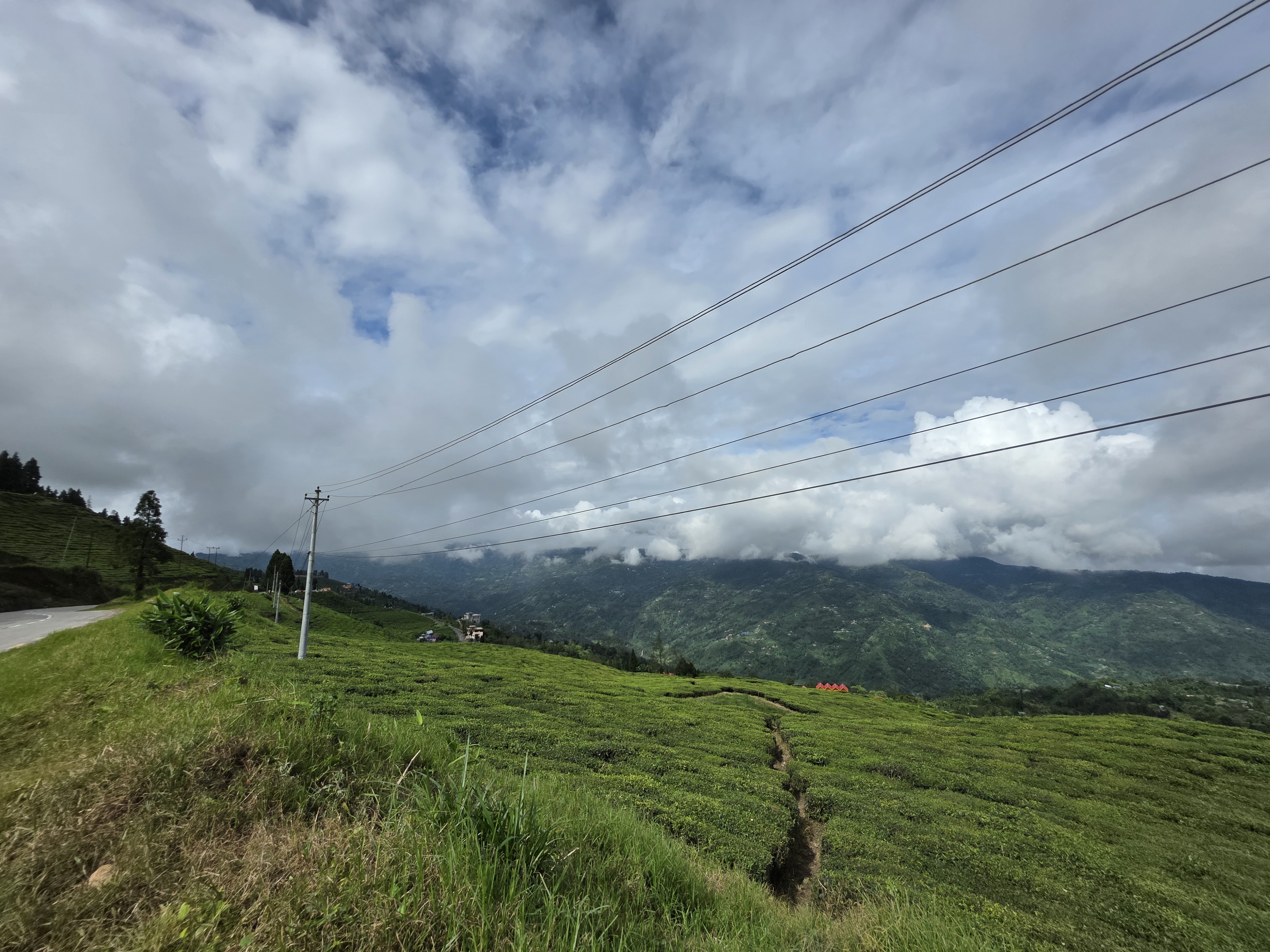 lush green vegetation, electrical lines running alongside from the pole, with a cloudy sky above.