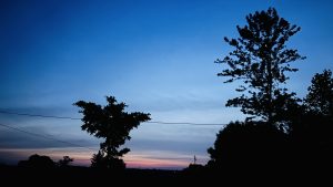 A tranquil evening sky transitioning from blue to soft pink hues, framed by the silhouettes of trees.