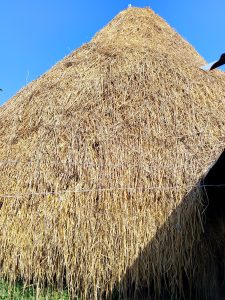 A close-up view of a tall haystack against a clear blue sky, showcasing the golden strands of dried grass.