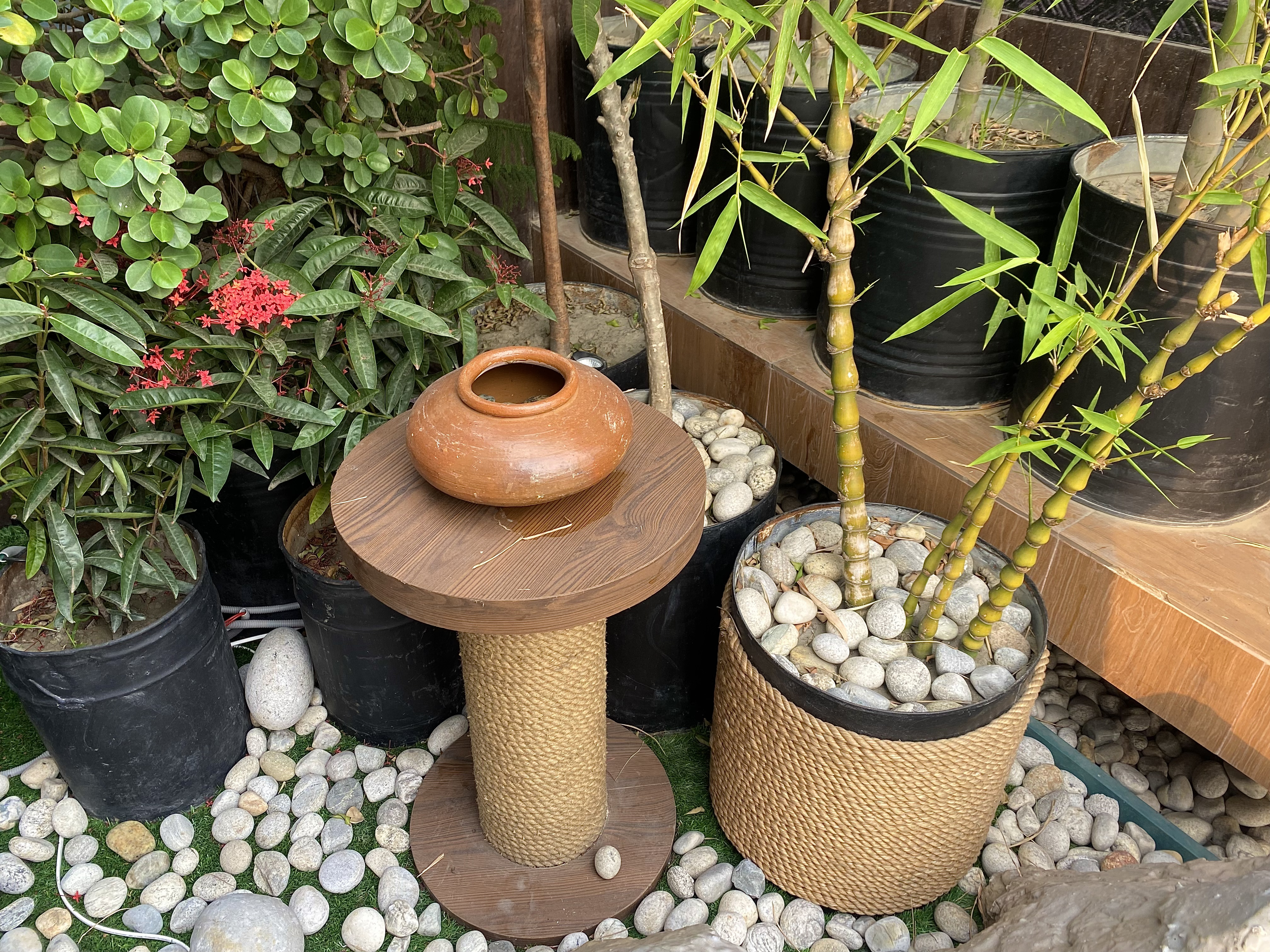 A small wooden table with a round top holds a traditional clay pot. Surrounding the table are various plants, including green leaves and small red flowers, as well as taller bamboo stalks in a black pot filled with smooth pebbles. 