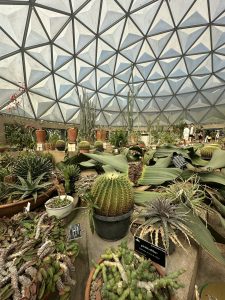 A dome-shaped greenhouse filled with various cacti at Suan Luang Rama IX Park in Bangkok, featuring neatly arranged cactus plants under natural light with a curved glass structure.