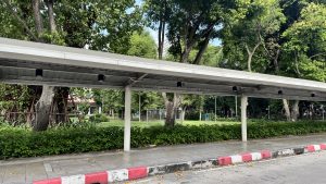 A close-up view of dense, variegated green and light green shrubbery or low-growing foliage in an outdoor garden setting.
