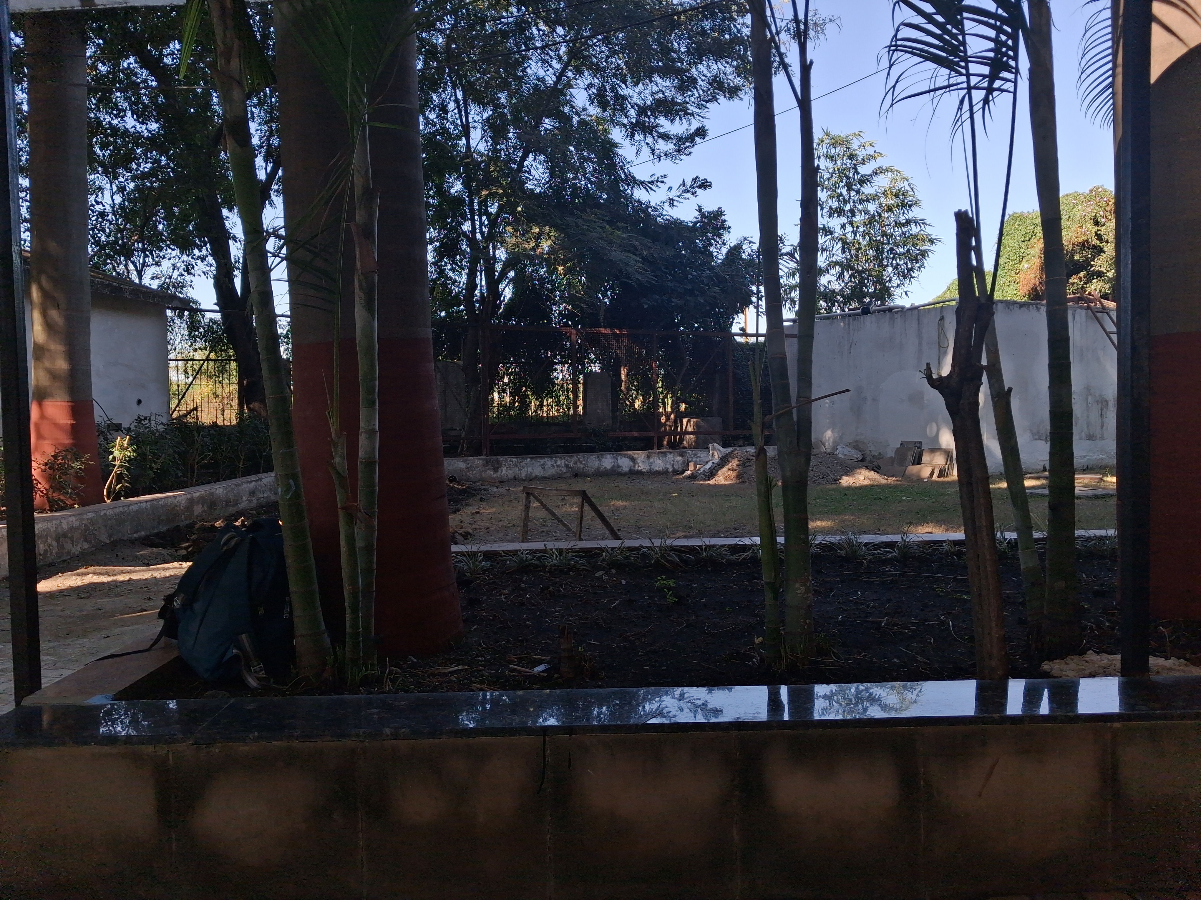 This image shows a quiet outdoor space with tall trees, a shaded garden bed, a backpack resting near the trunk, and an open yard bordered by a worn white wall and dense greenery in the background.