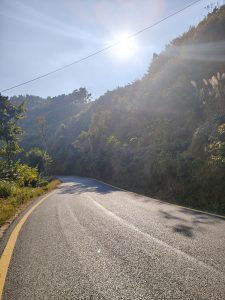 A winding road curves through a lush green landscape, bordered by trees and undergrowth.