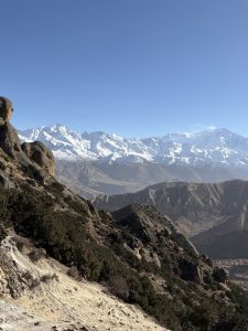 A panoramic view of snow-capped mountains under a clear blue sky, with rocky terrain in the foreground and patches of greenery.