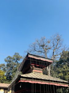 The tiered roofs of a BajraBarahi temple of Nepal with red fringe decorations stand against a clear blue sky and tall trees. A unique feature of the temple is that it has no &ldquo;gajur&rdquo; (pinnacle). According to local folklore, a priest once dreamed that anyone who tried to place one would lose their life, so it was never added.