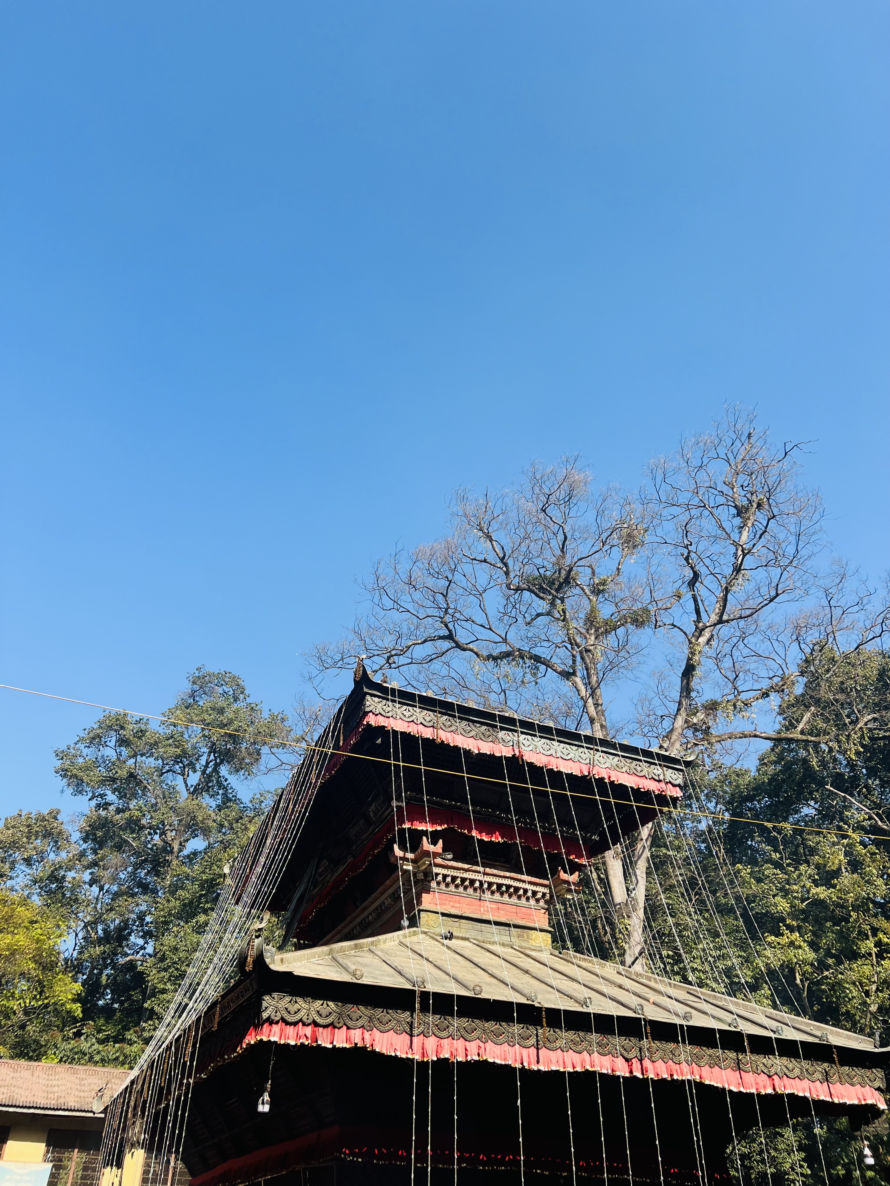 The tiered roofs of a BajraBarahi temple of Nepal with red fringe decorations stand against a clear blue sky and tall trees. A unique feature of the temple is that it has no &ldquo;gajur&rdquo; (pinnacle). According to local folklore, a priest once dreamed that anyone who tried to place one would lose their life, so it was never added.