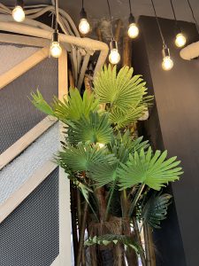 A stylish vase containing a plant, illuminated by delicate lights, adding a charming touch to the decor.