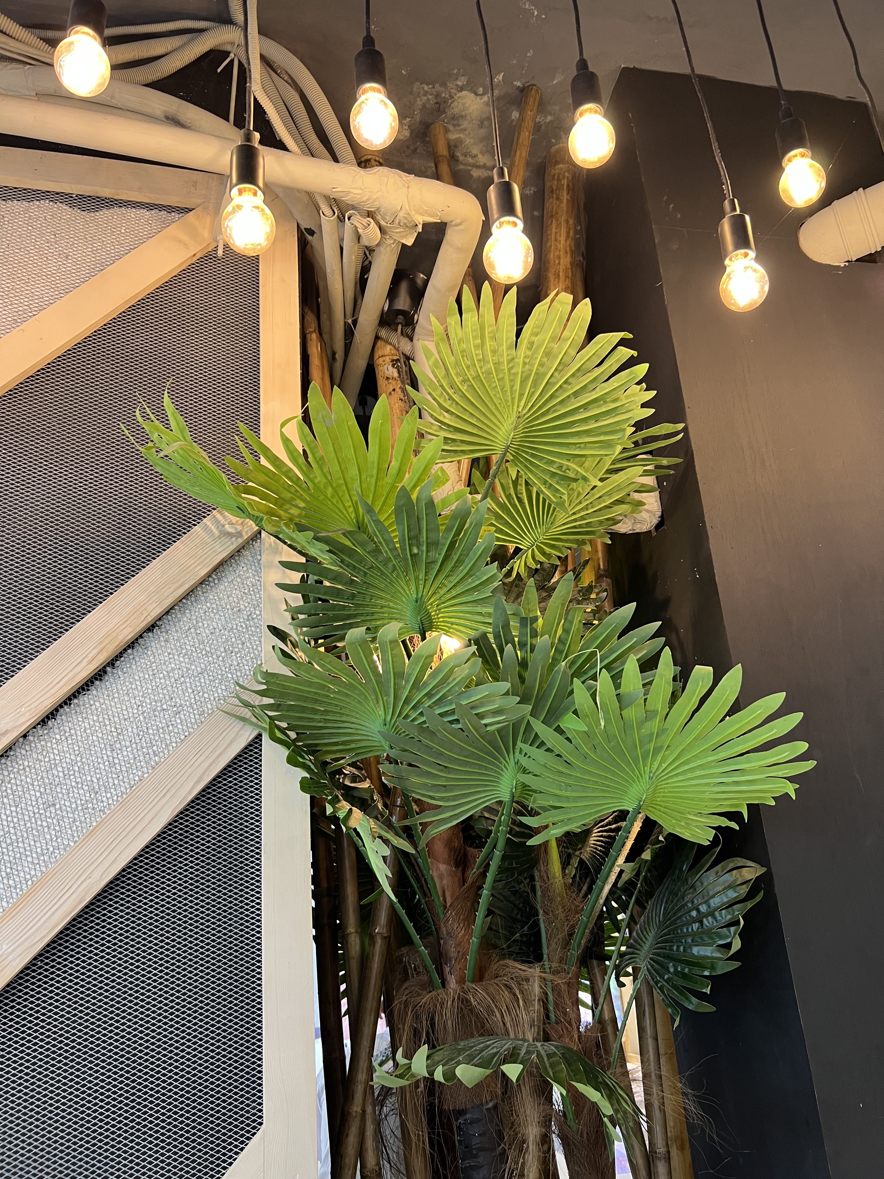 A stylish vase containing a plant, illuminated by delicate lights, adding a charming touch to the decor.