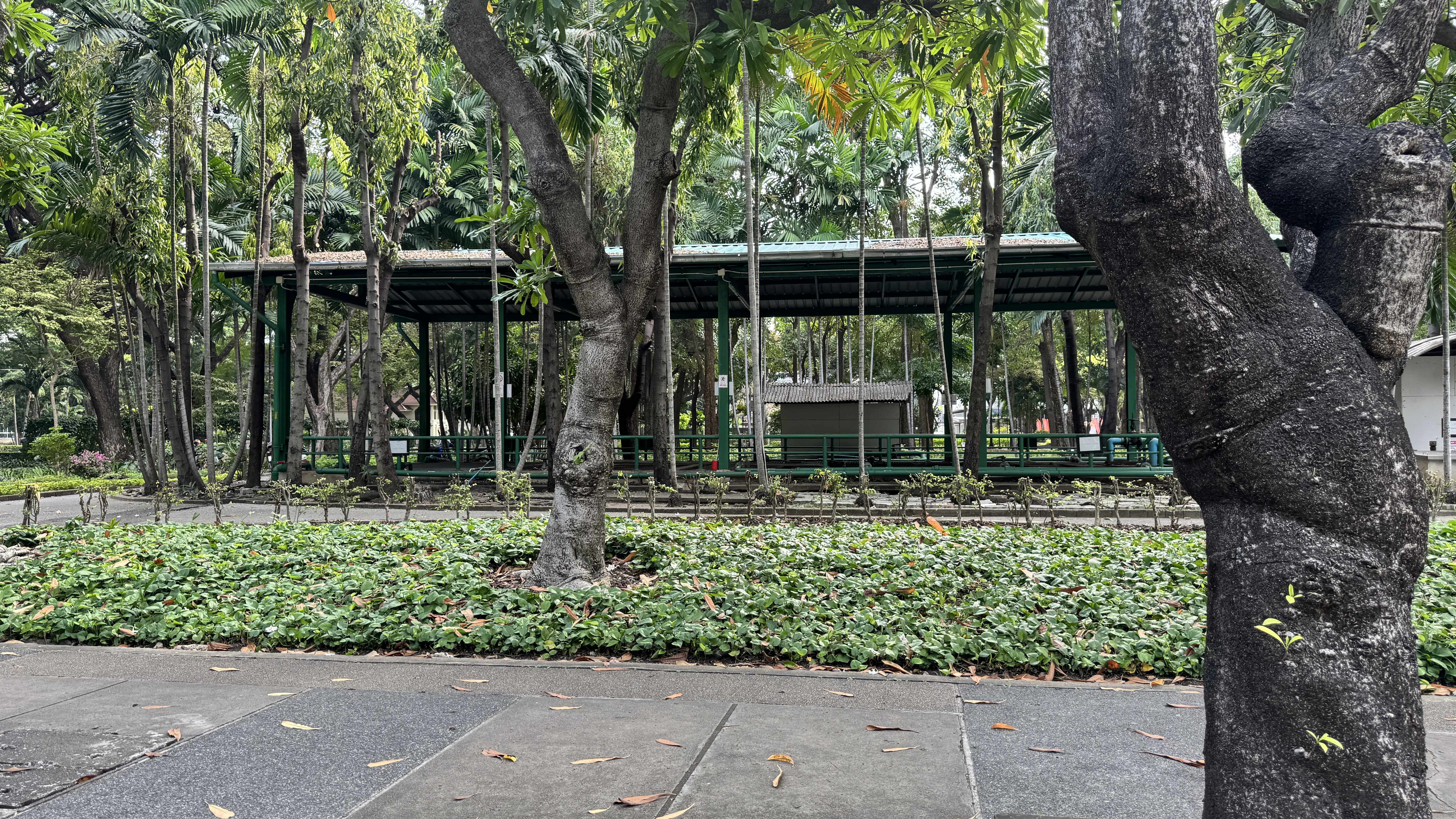 A long, white covered walkway or shelter with white supporting pillars, bordering a sidewalk with a red and white curb, looking into a lush green park area beyond.