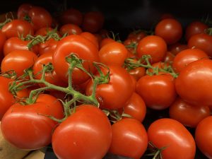 A cluster of ripe red tomatoes hanging on the vine, smooth and shiny with bright green stems.
