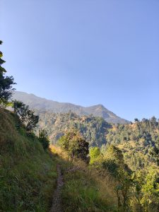 A scenic landscape featuring a narrow dirt path winding through lush green grass and small trees, flanked by a mountainous terrain in the background. 