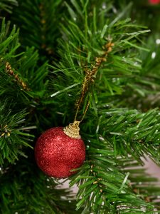A red glitter Christmas ball ornament hanging on green pine branches. Photographed in Kozhikode, Kerala, this close-up shows festive charm, bright colors, and soft lighting, creating a joyful holiday mood with good depth and focus. 