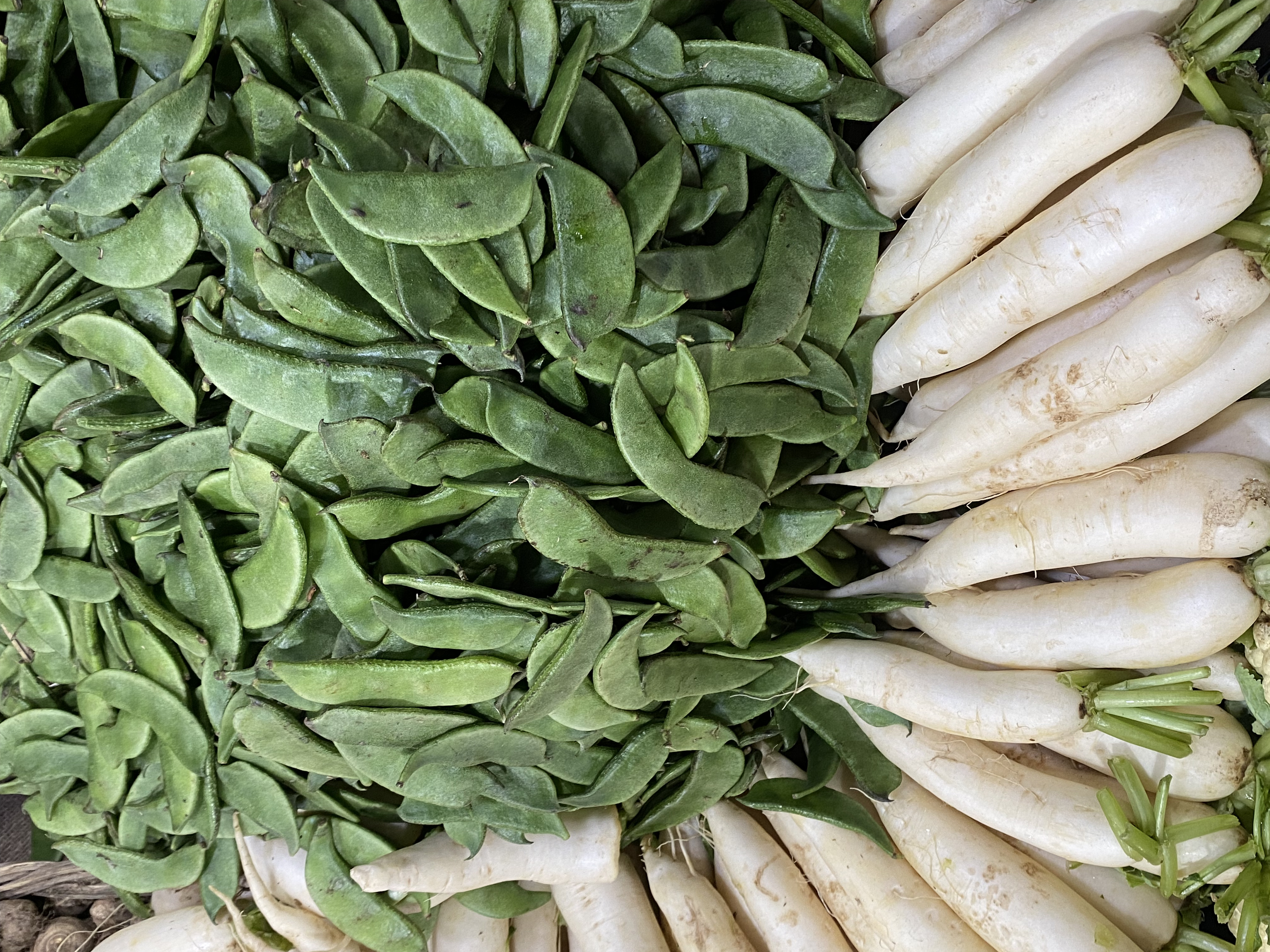 
A market display with fresh green beans and neatly arranged white radishes.