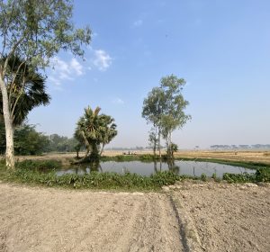 

A peaceful pond by trees under a clear blue sky, with fields stretching to the horizon.