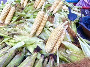 Fresh yellow corn with husks partially peeled back, arranged on a market stall. A metal spatula and coals are visible, suggesting roasting.