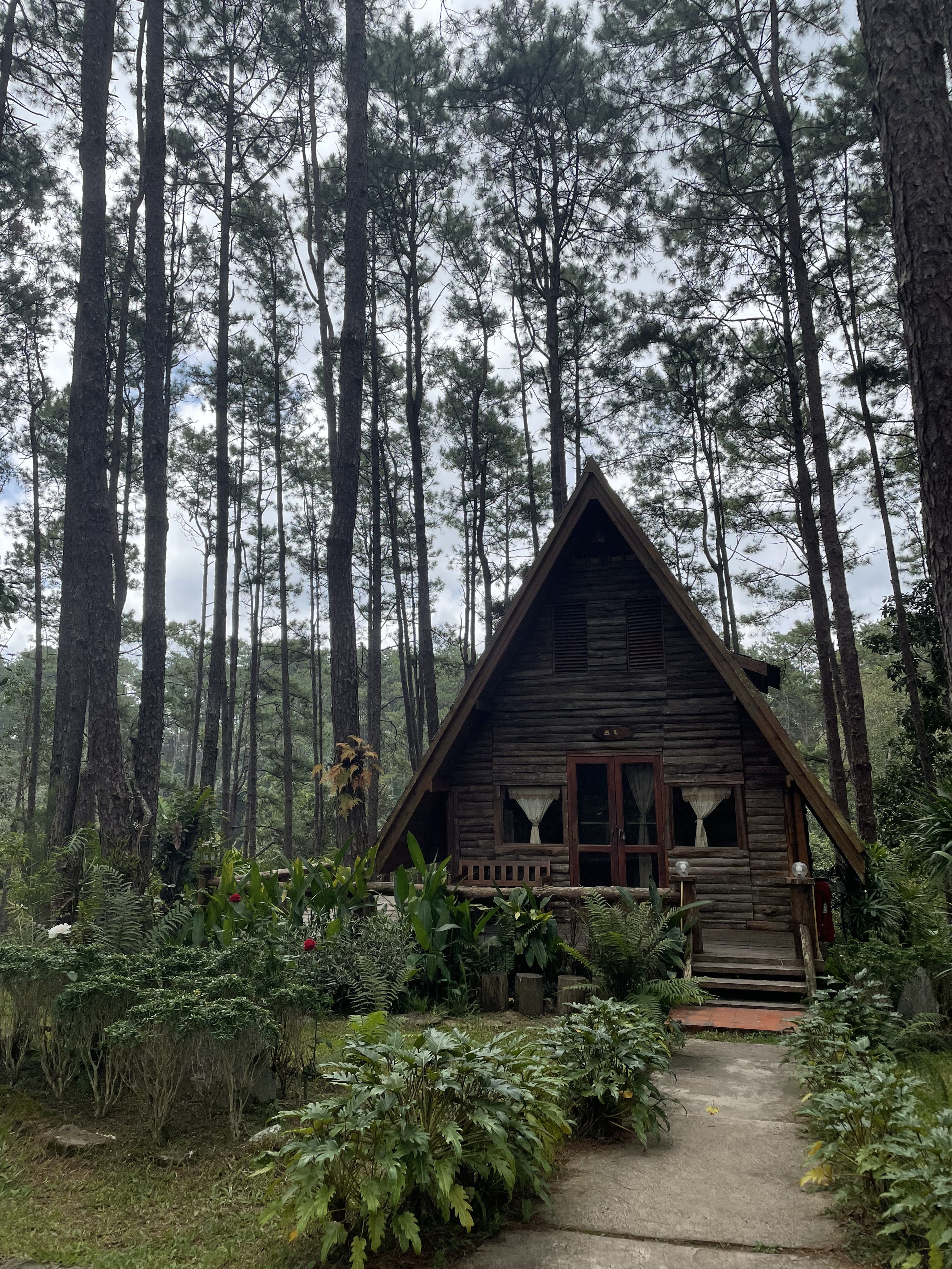 A cozy A-frame wooden cabin surrounded by tall pine trees in a lush forest at Doi Bo Luang FIO in Chiang Mai, Thailand, with a small garden and pathway creating a peaceful mountain retreat atmosphere.