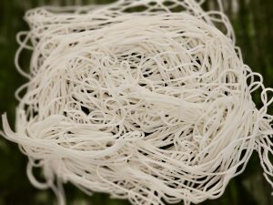 A close-up view of soft, freshly prepared idiyappam (also known as noolputtu, sheveo, santhagai, or ottu shavige), neatly bundled in Perumanna, Kozhikode. The smooth white strands show the texture and simplicity of this traditional South Indian food.