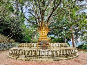 A golden Buddha sheltered by a seven-headed Naga under a Bodhi tree at Wat Phousi in Luang Prabang.
