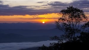 Sunrise over layered mountain ranges with the sun glowing above the horizon, mist-filled valleys below, and silhouetted trees in the foreground.