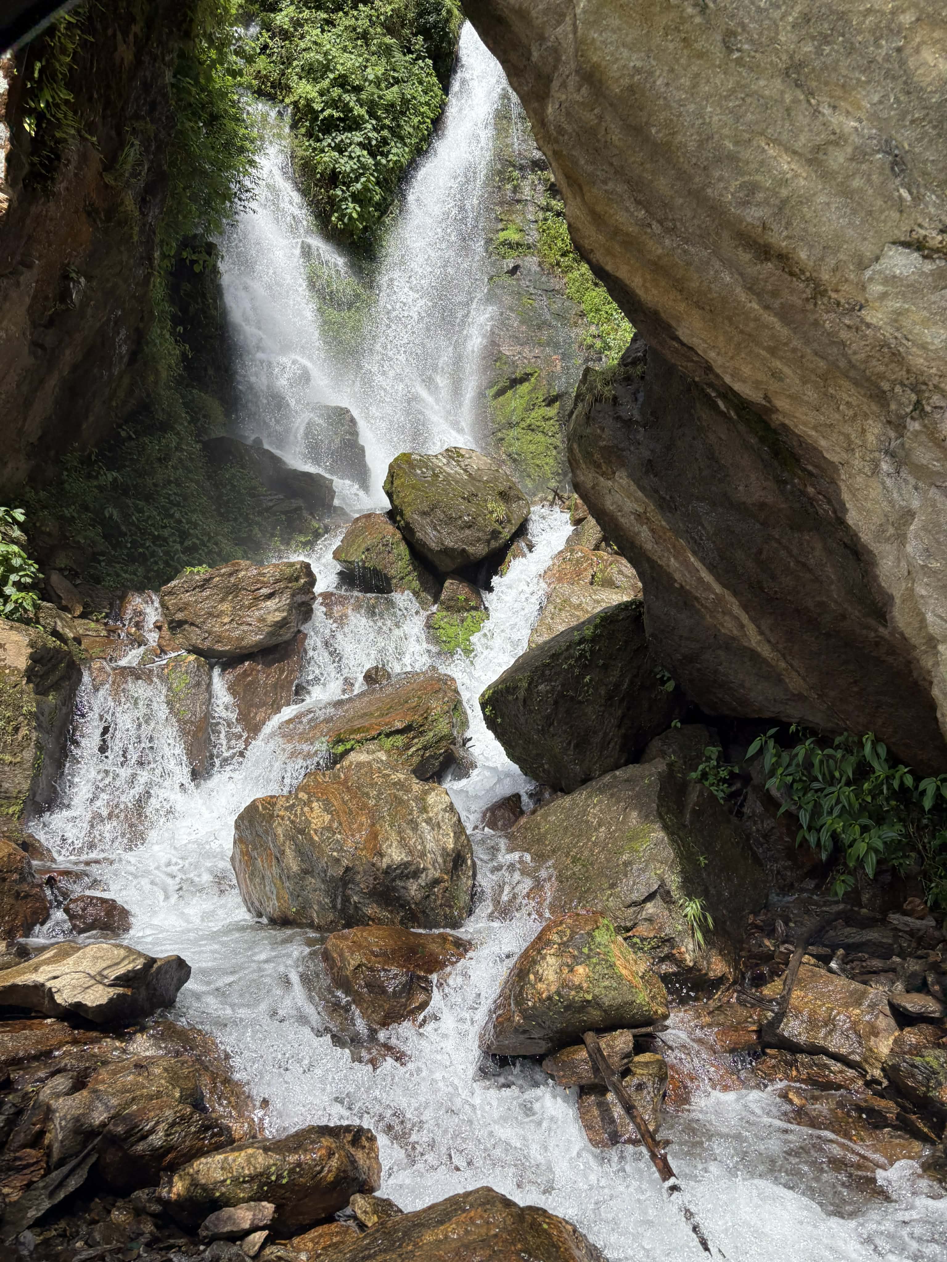 A picturesque waterfall cascades over large, moss-covered rocks, surrounded by lush green foliage. 