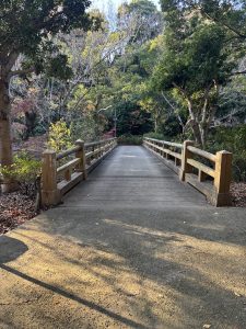 A wooden bridge crosses a path surrounded by lush greenery, with trees on either side displaying a mix of vibrant foliage and bare branches