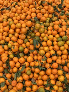 A large pile of vibrant orange and yellow oranges, some with green hints, scattered among green leaves.