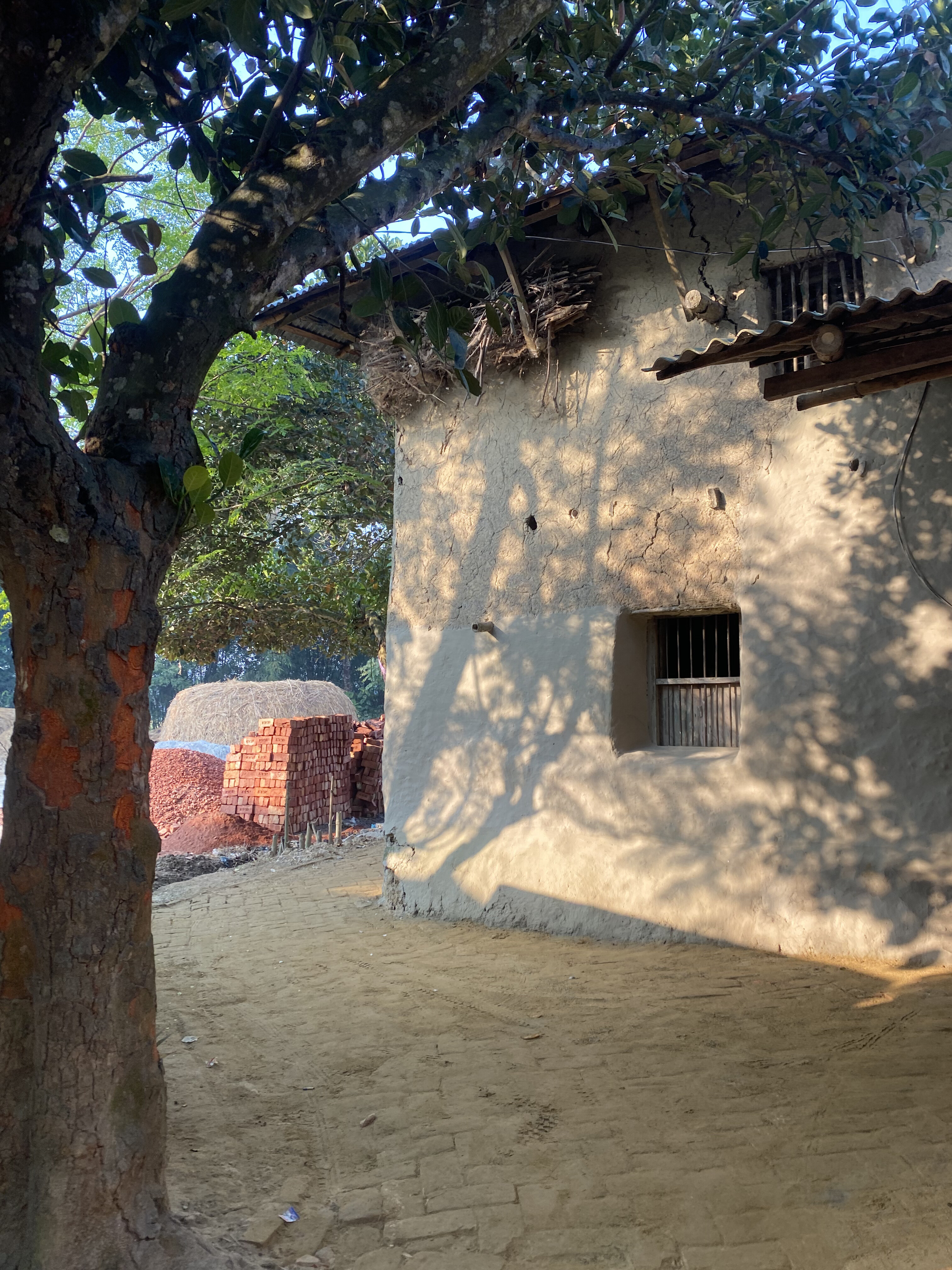 A rustic scene depicting the side of a mud house with a tiled roof, partially shaded by a large tree.