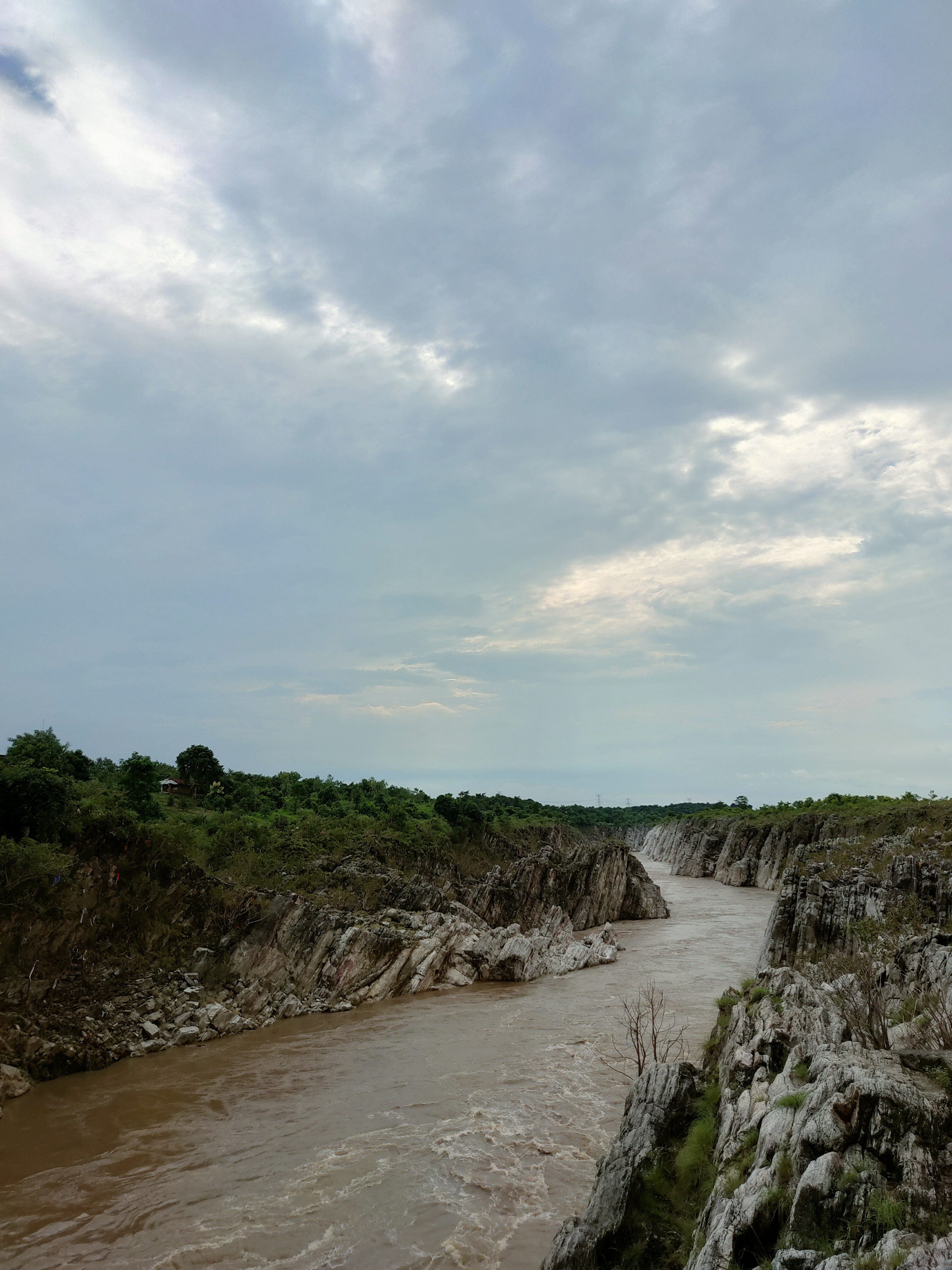 An image of a muddy river flowing through rocky cliffs. The rocky cliff contains green shrubs and vegetation.
