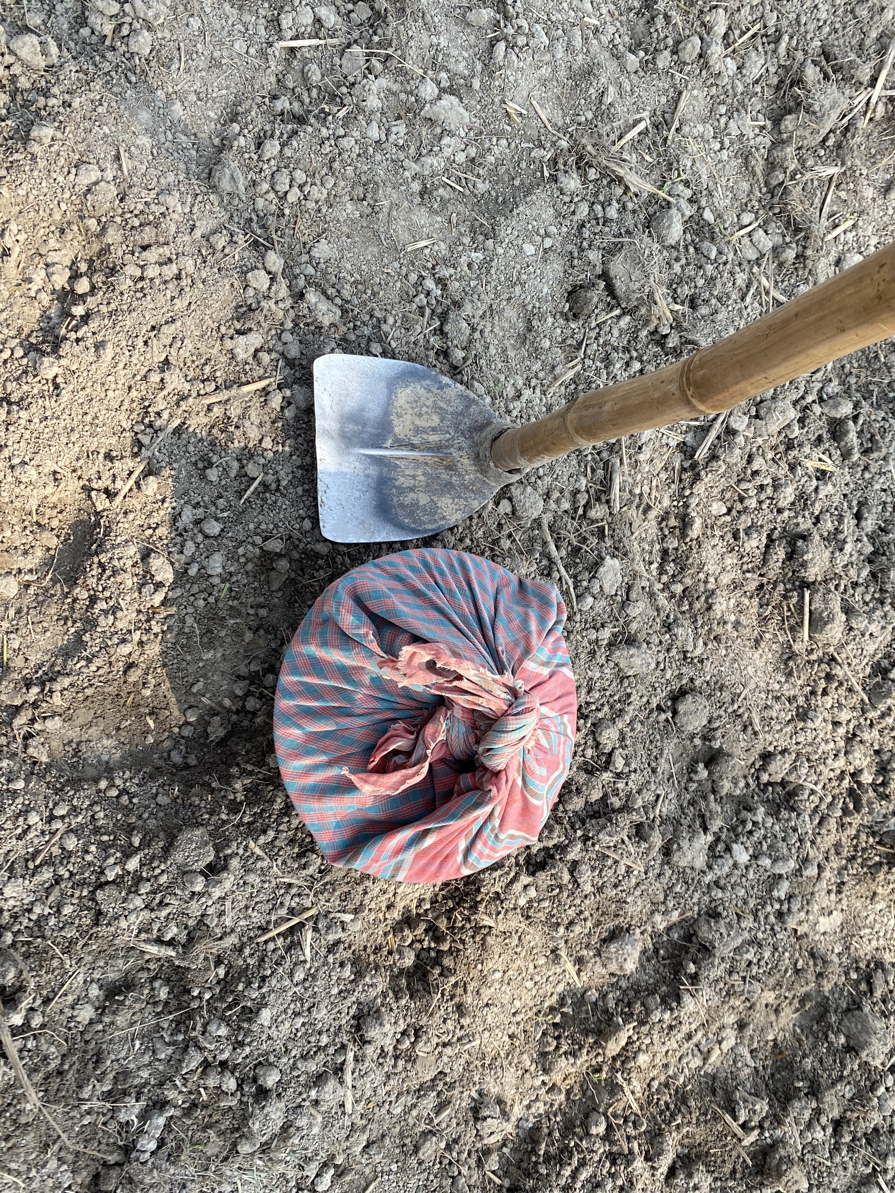 A striped sack on dry soil beside a shovel.