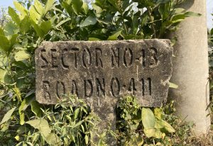 Weathered stone sign reading “Sector No-13, Road No-411,” surrounded by green leaves.