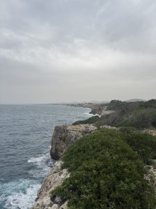 The view of a rugged coastal landscape is viewed from the top. In the distance, the coastline curves away, presenting more cliffs and a small coastal town with light-coloured buildings along the shore. The cliff tops are covered with dense green shrubs and low vegetation.