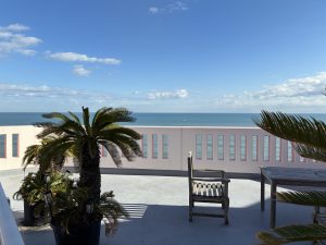 
A serene rooftop terrace featuring potted palm trees and a wooden chair, overlooking a calm Pacific Ocean with a clear blue sky above