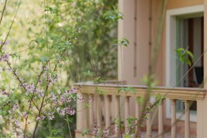 This image captures a tranquil outdoor scene focused on nature and architecture. Delicate pink blossoms bloom along slender branches in the foreground, their soft petals highlighted by natural daylight. The flowers appear fresh and gentle, suggesting early spring or a calm seasonal transition. 