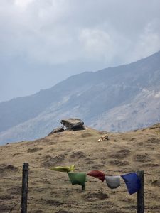 A barren landscape with gentle rolling hills under a cloudy sky. In the foreground, a barbed wire fence holds colorful prayer flags fluttering in the wind. In the background, a large rock formation sits on a hill, while a brown and white animal rests nearby on the dry ground