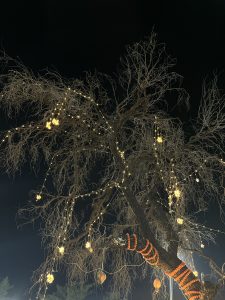 Tree decorations with lightings hanging and marigold flowers rolling around its branches.
