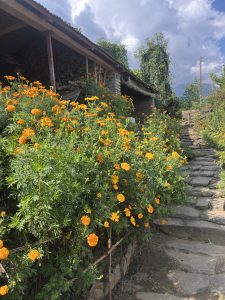 A rustic building with a stone pathway and blooming marigolds.