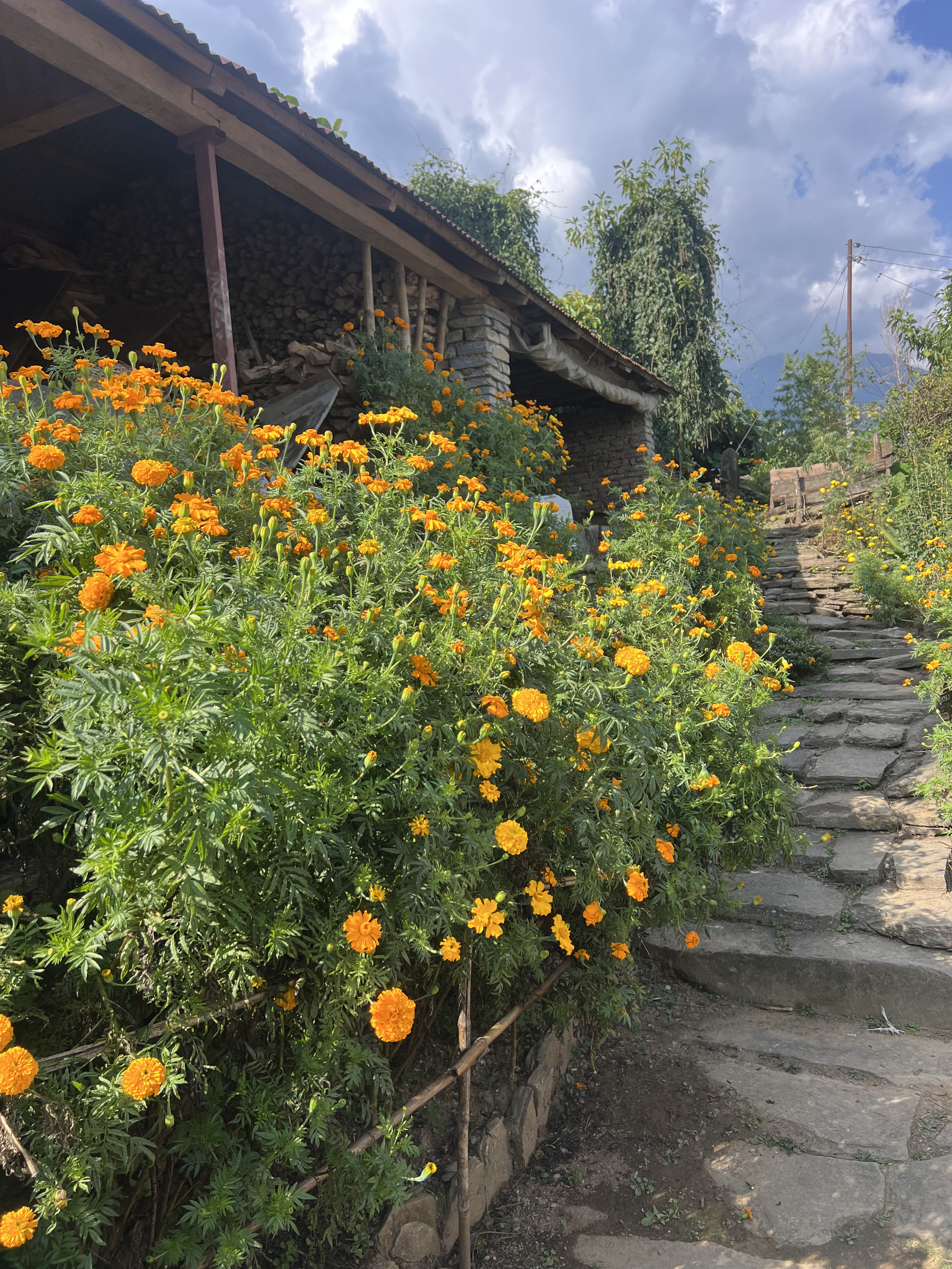 A rustic building with a stone pathway and blooming marigolds.